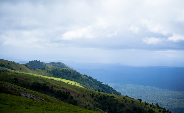 才是维系职 才是维系职