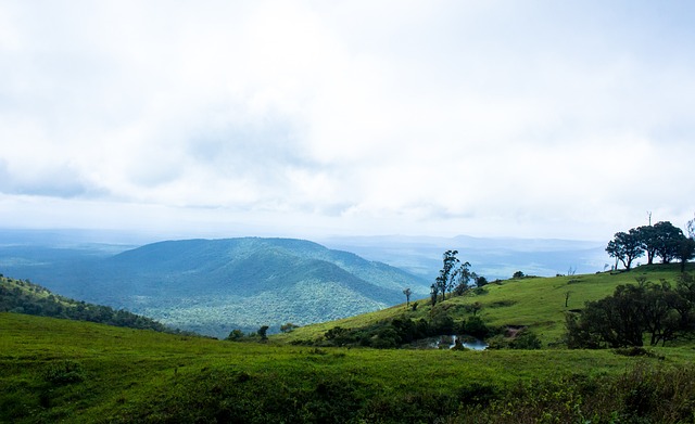 雨般的百米 雨般的百米