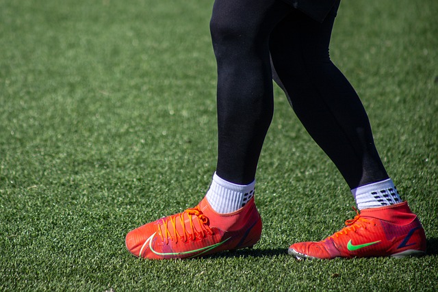 这不仅展现 这不仅展现