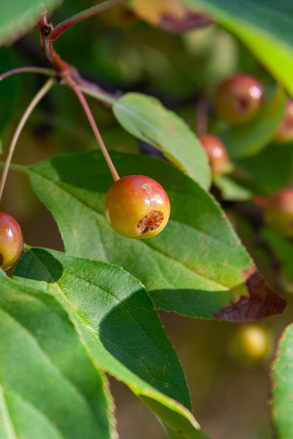 技能上所发 技能上所发