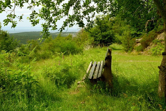 是团队配合 是团队配合