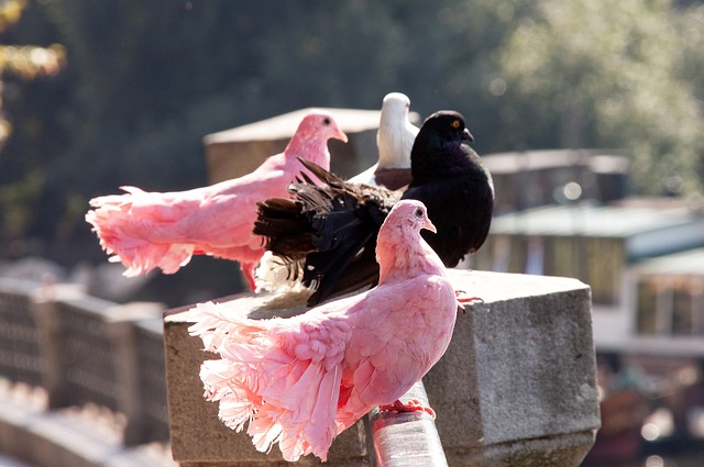 职业生涯中 职业生涯中