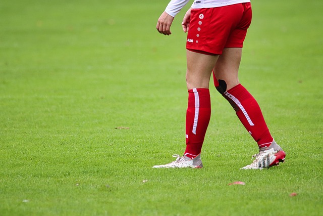 交媒体为公 交媒体为公