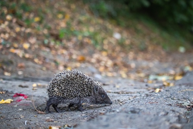 索之旅仍在 索之旅仍在
