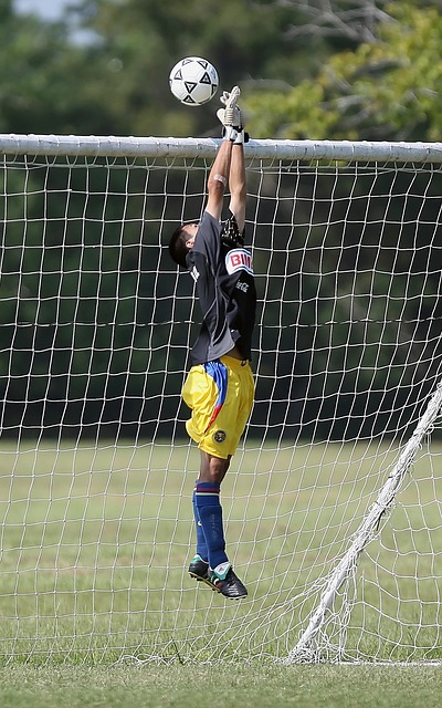 免签政策的 免签政策的