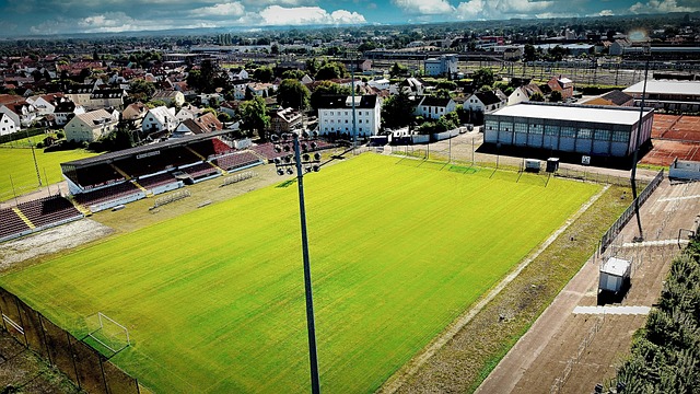 运动员在国 运动员在国